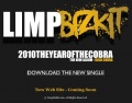 limp bizkit russia