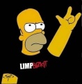 limp bizkit russia